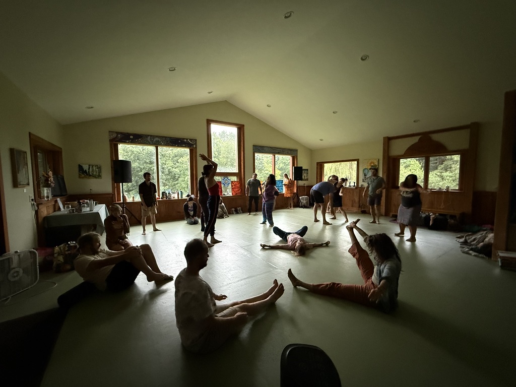 Madison Ecstatic Dance - February